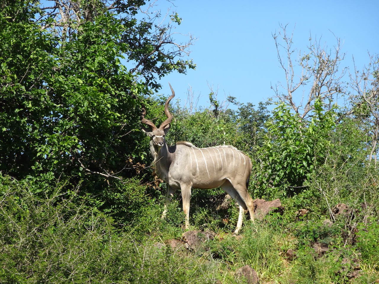 photo dsc02660