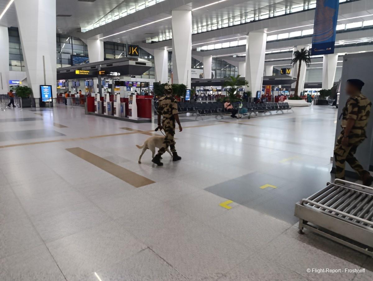 photo img_20251014_095355_resultat-45358