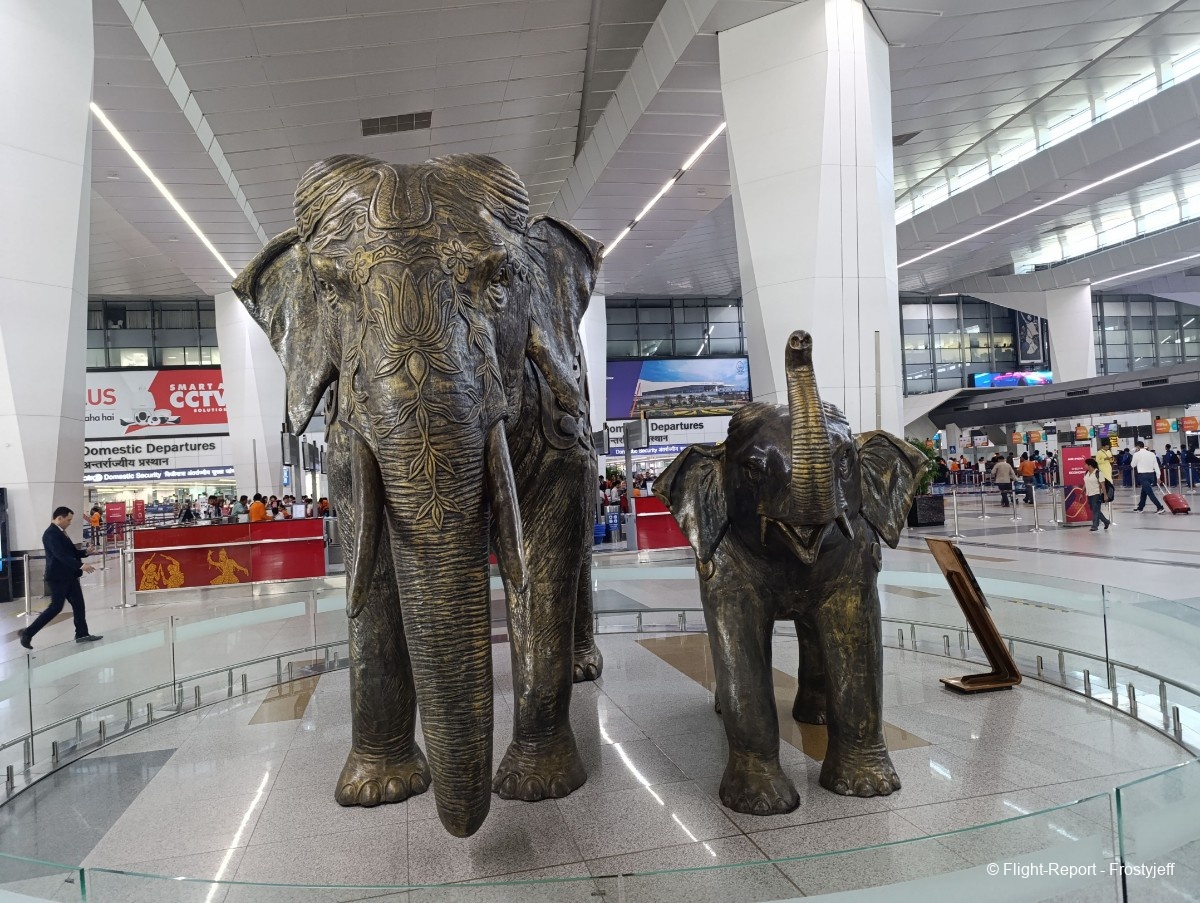 photo img_20251014_095820_resultat