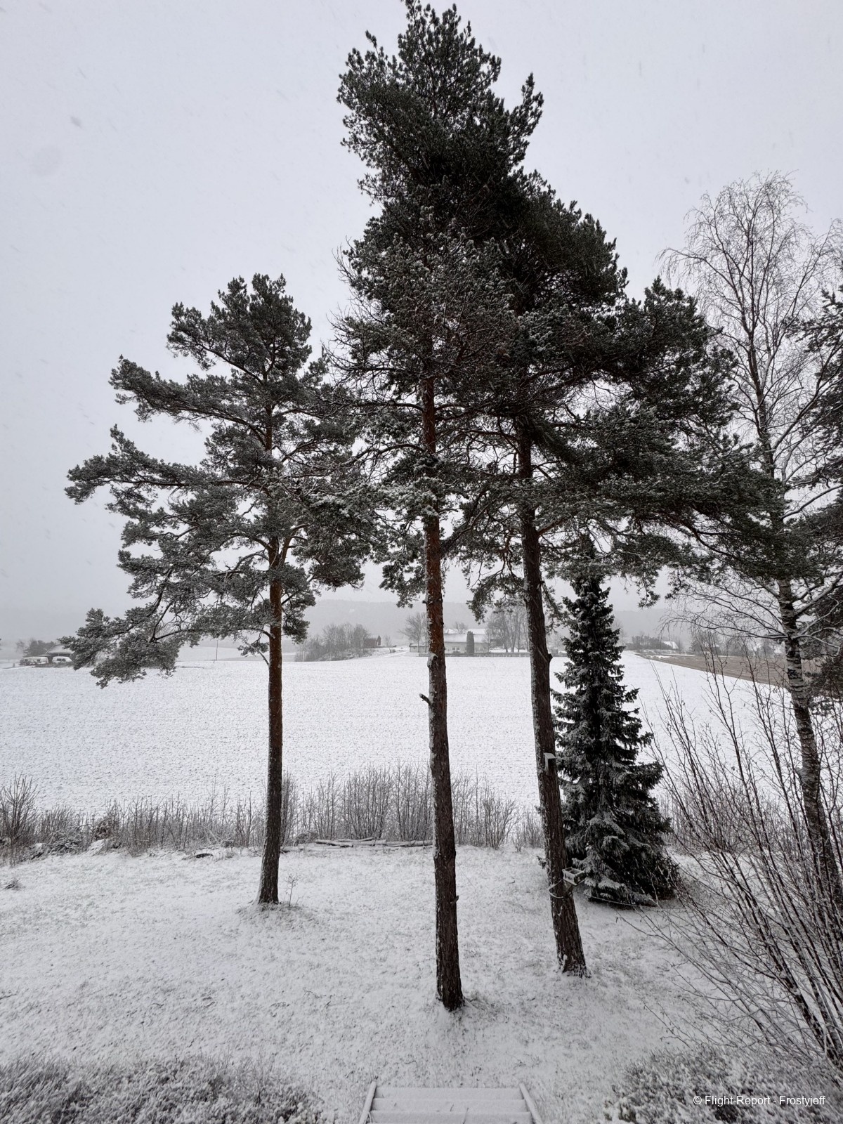 photo img_0213_resultat