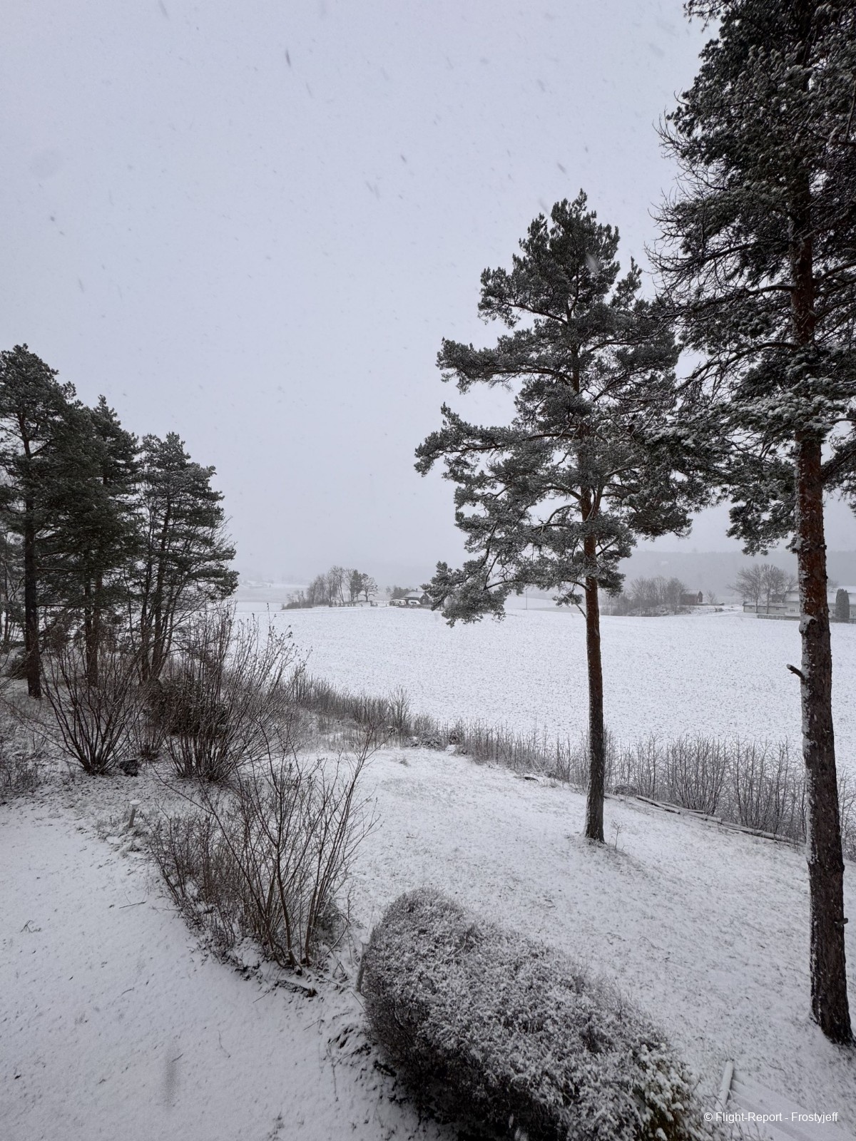 photo img_0214_resultat