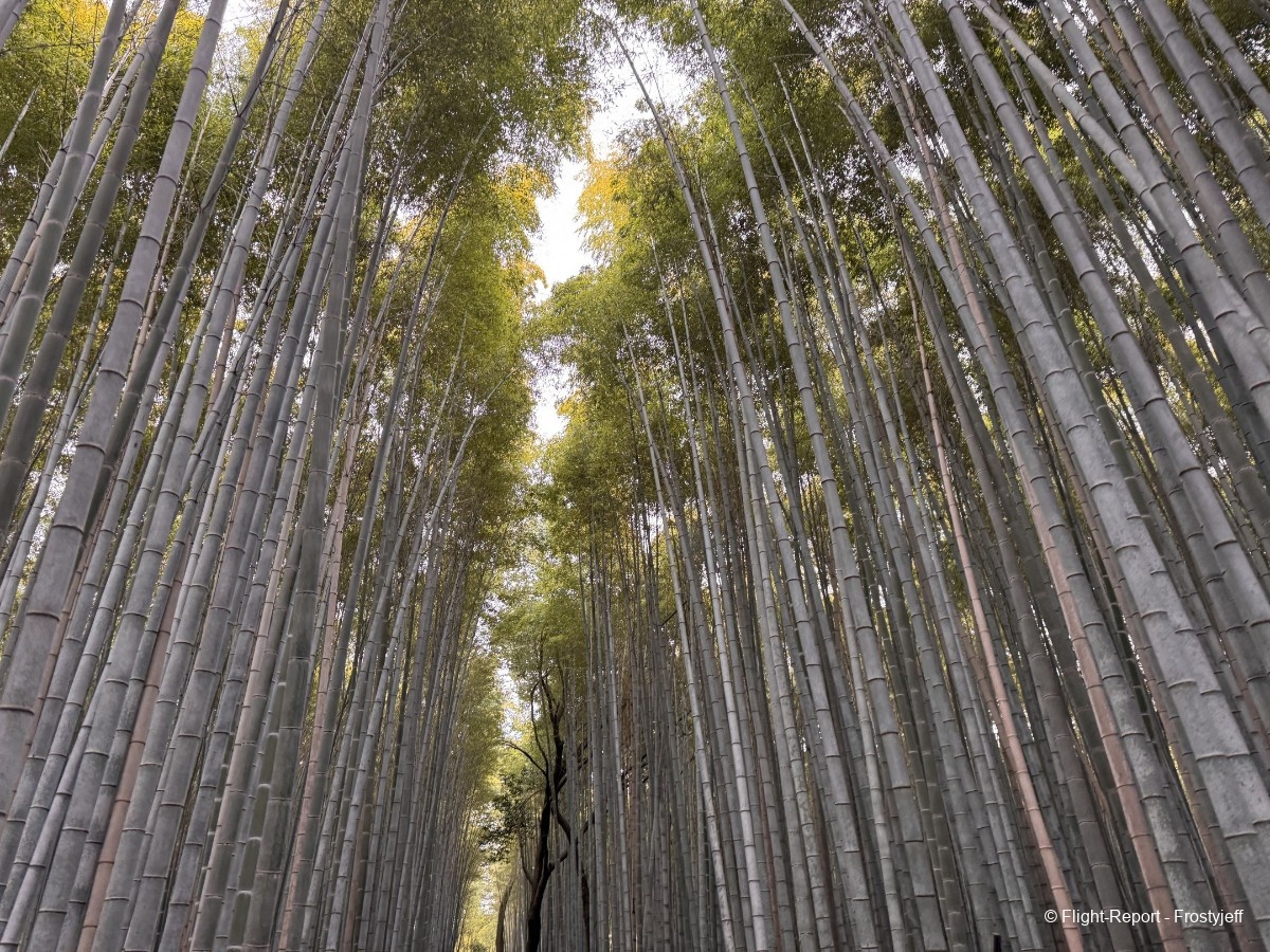 photo img_1723_resultat