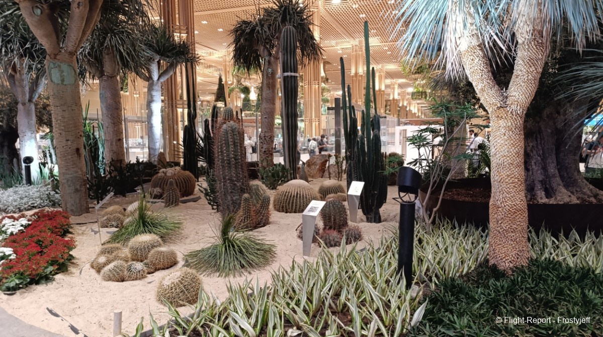 photo img_20260304_225719_resultat