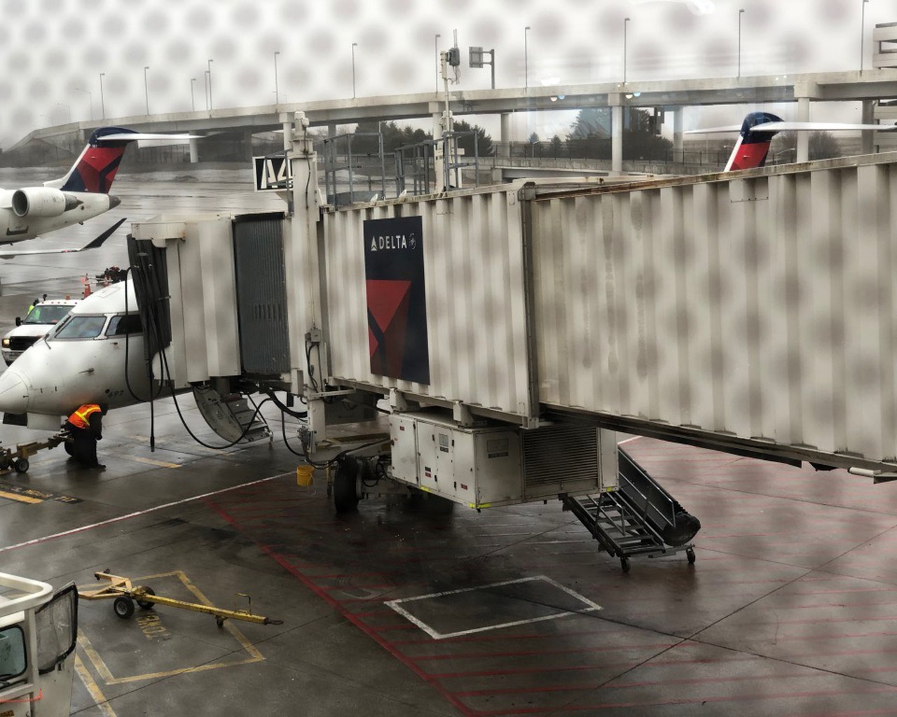 Review of Delta Connection flight from Detroit to Toronto in Domestic First