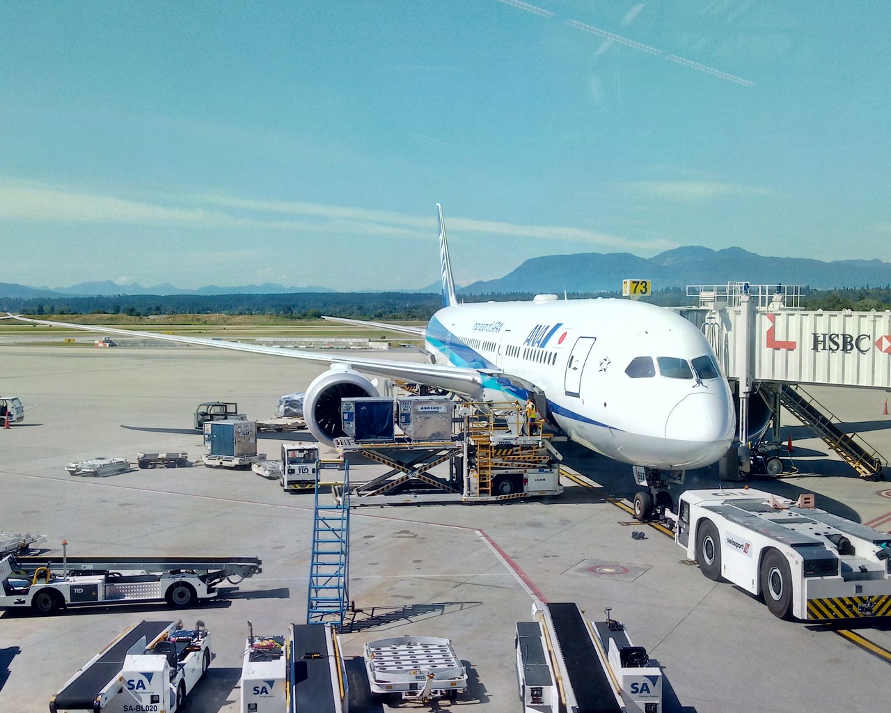 ANA　全日空商事　JA8958　NH20044　FAREWELL INTER 全日空商事 【予約商品】787-9 ANA 全日空 「STAR ALLIANCE塗装