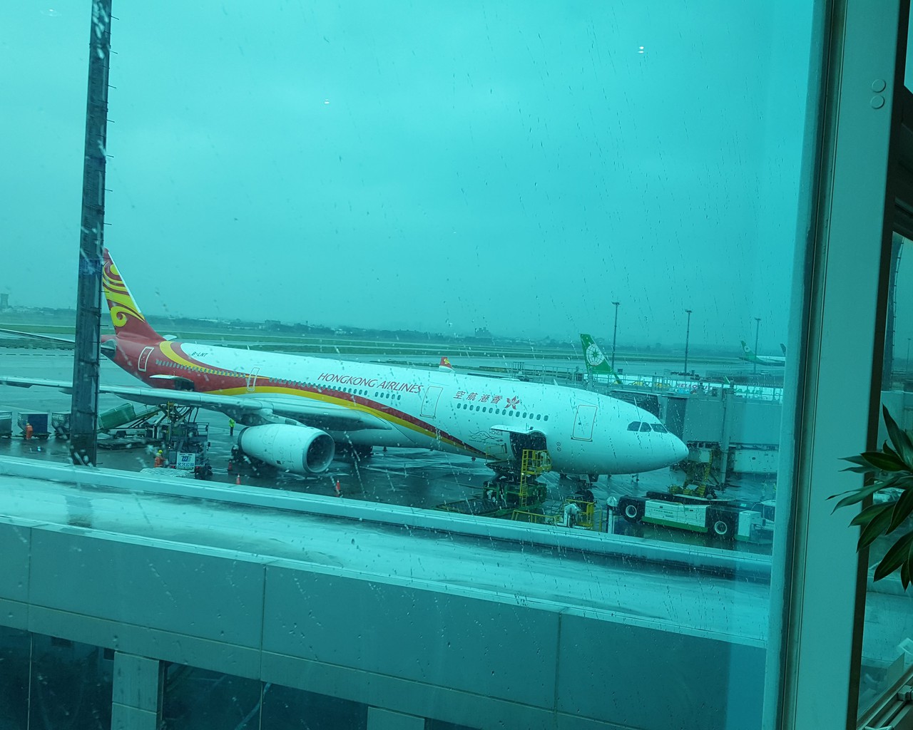 avis-du-vol-hong-kong-airlines-taipei-hong-kong-en-economique