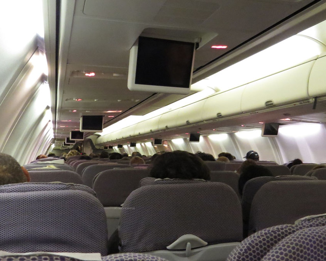 Review of Qantas flight from Brisbane to Sydney in Economy Review of Qantas flight from Brisbane to Sydney in Economy