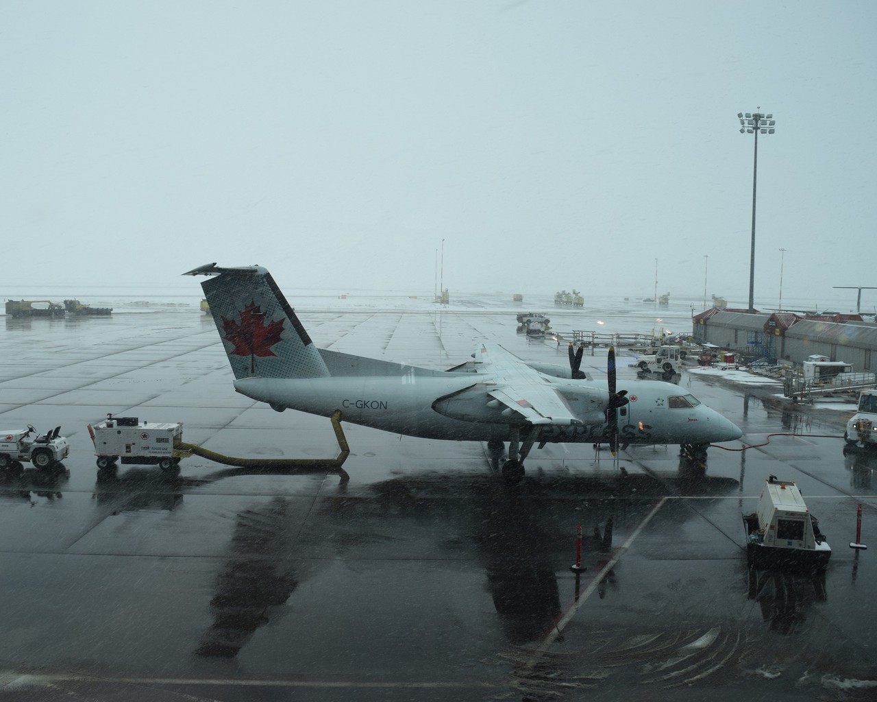 Avis du vol Air Canada Edmonton → Calgary en Economique