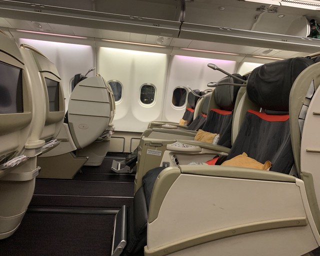 airbus a319 royal jordanian business class