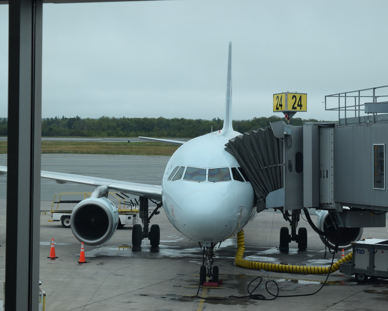 Avis du vol Air Canada Halifax → Toronto en Economique