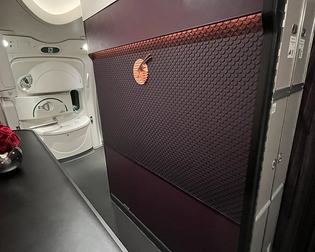 Review Of Qatar Airways Flight From Doha To Dubai In Business