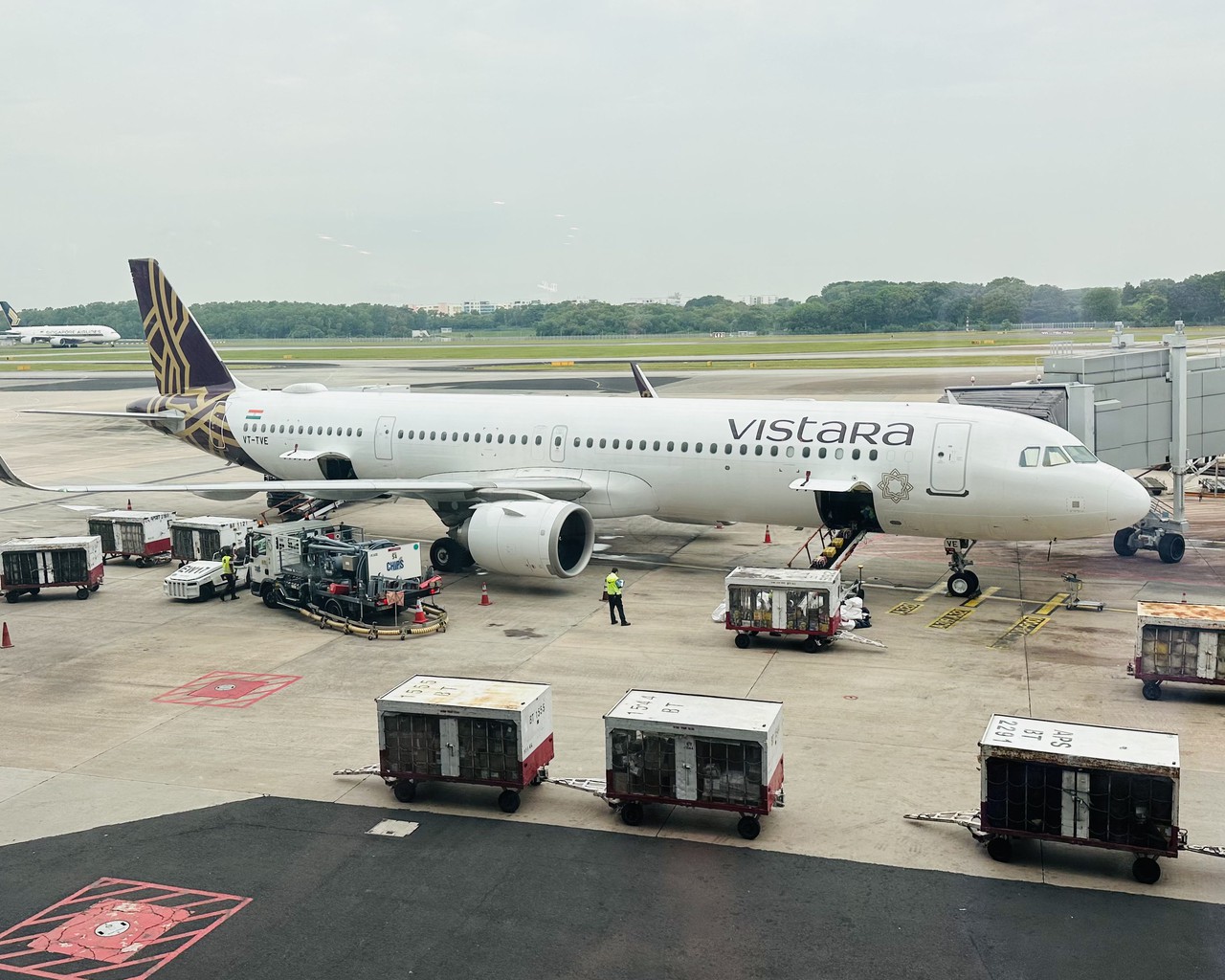 Review Of Vistara Flight From Singapore To Mumbai In Economy review-of-vistara-flight-from-singapore-to-mumbai-in-economy