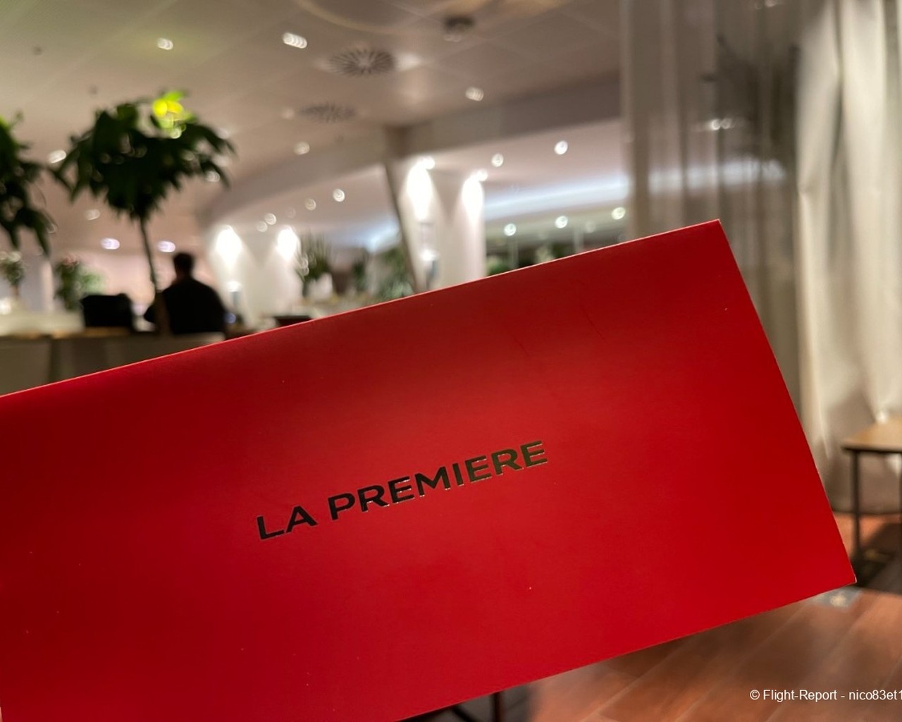avis-du-vol-air-france-nice-paris-en-affaires