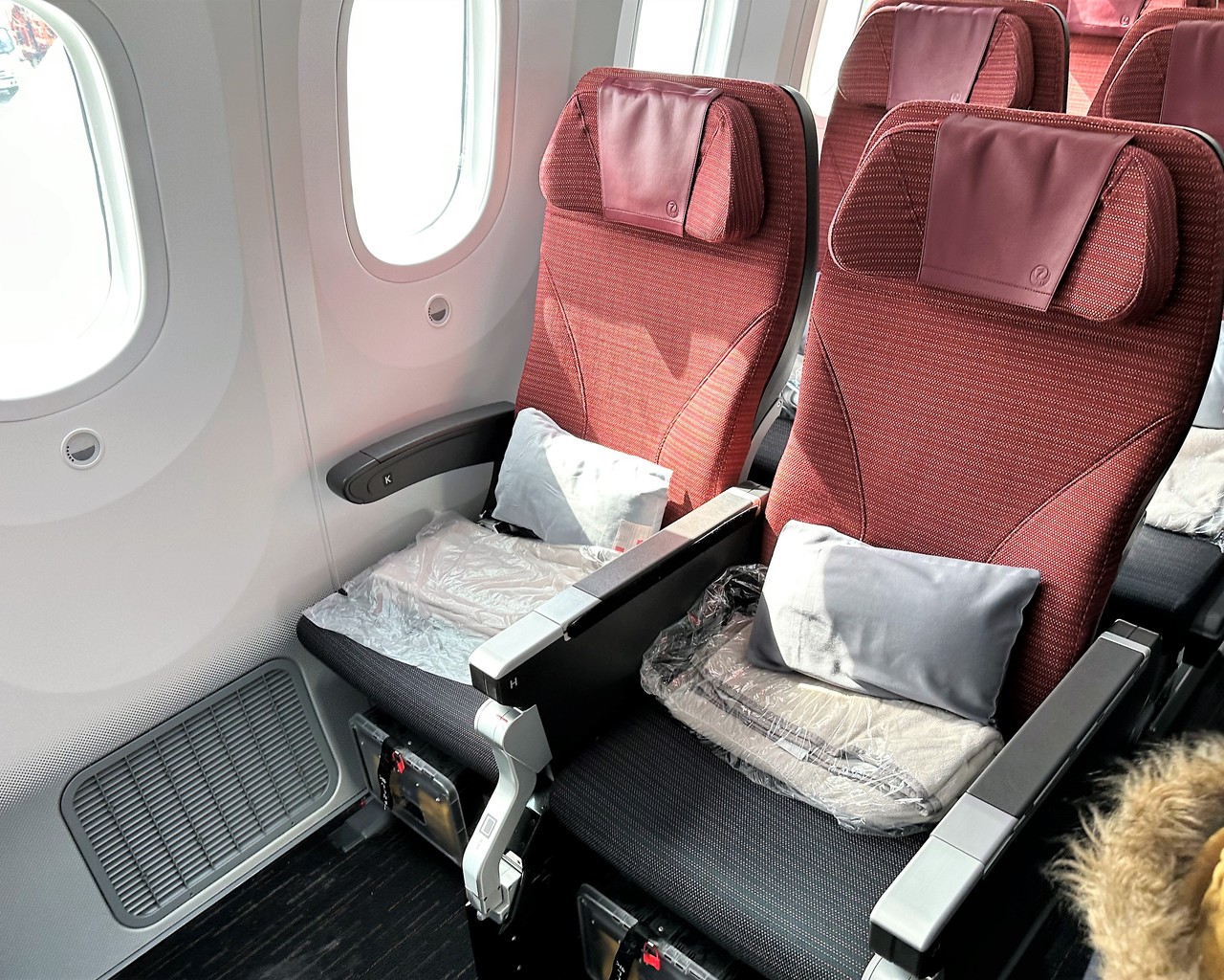 Review of Japan Airlines flight from Los Angeles to Tokyo in Economy