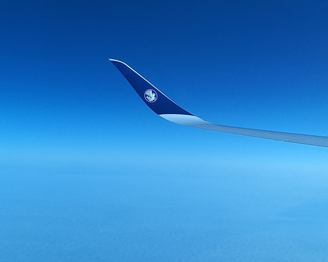 66591