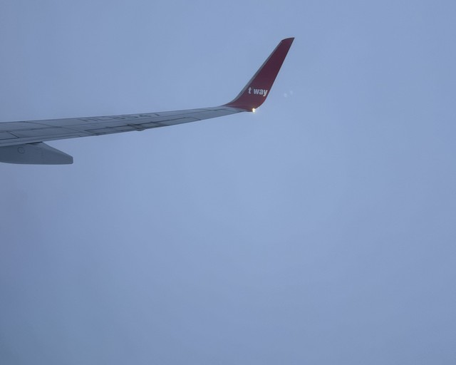 73767