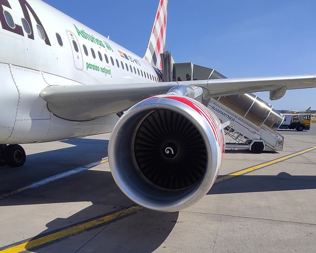 73776