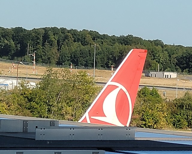 74353