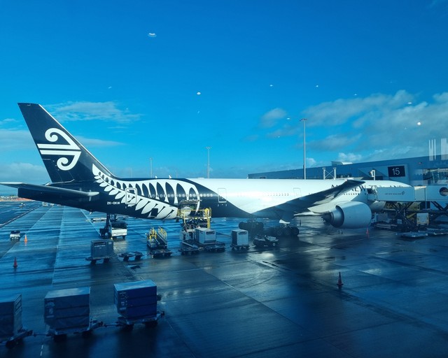 74451