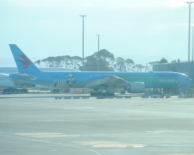 74723
