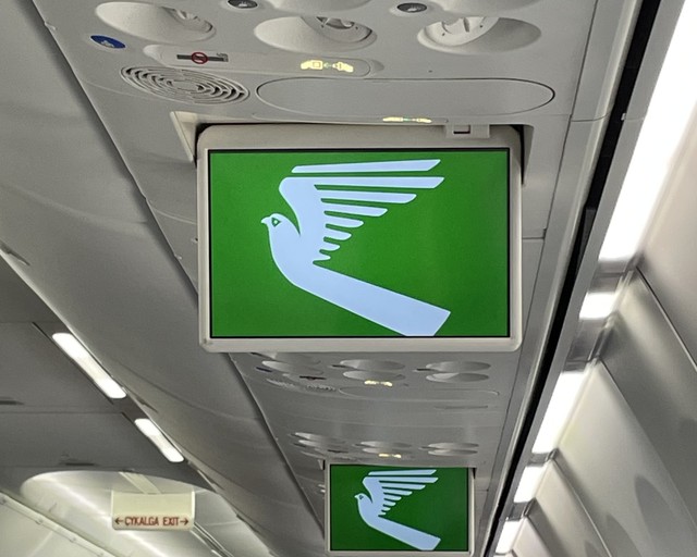 77631