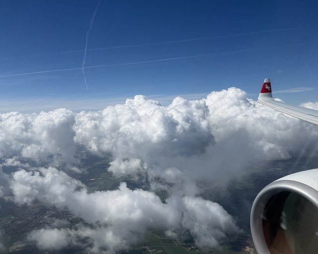 77643