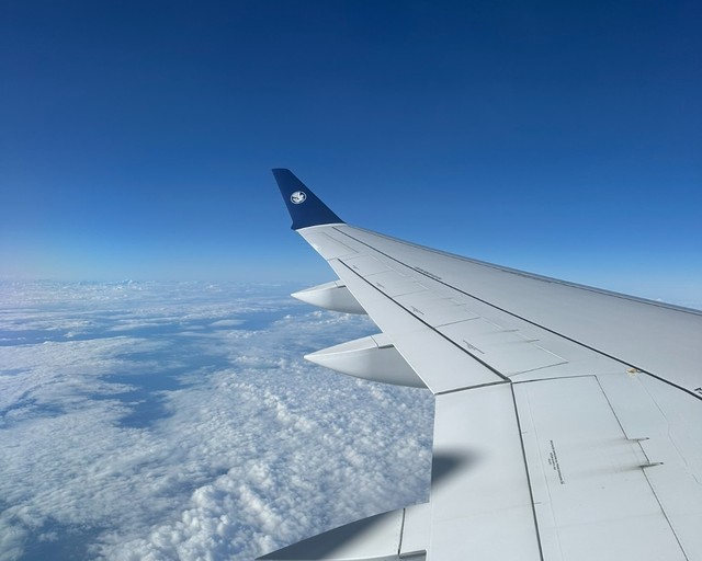 77753